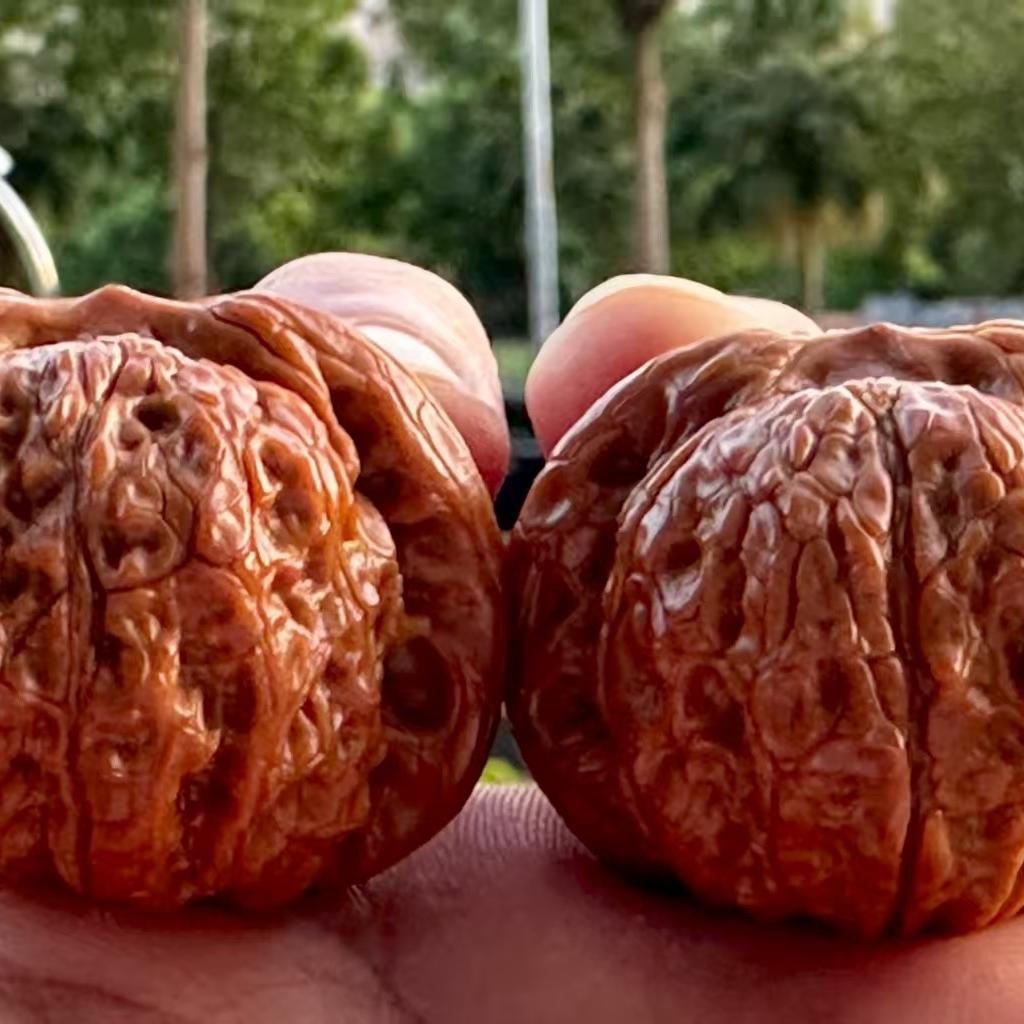 涞水县核真工艺品店