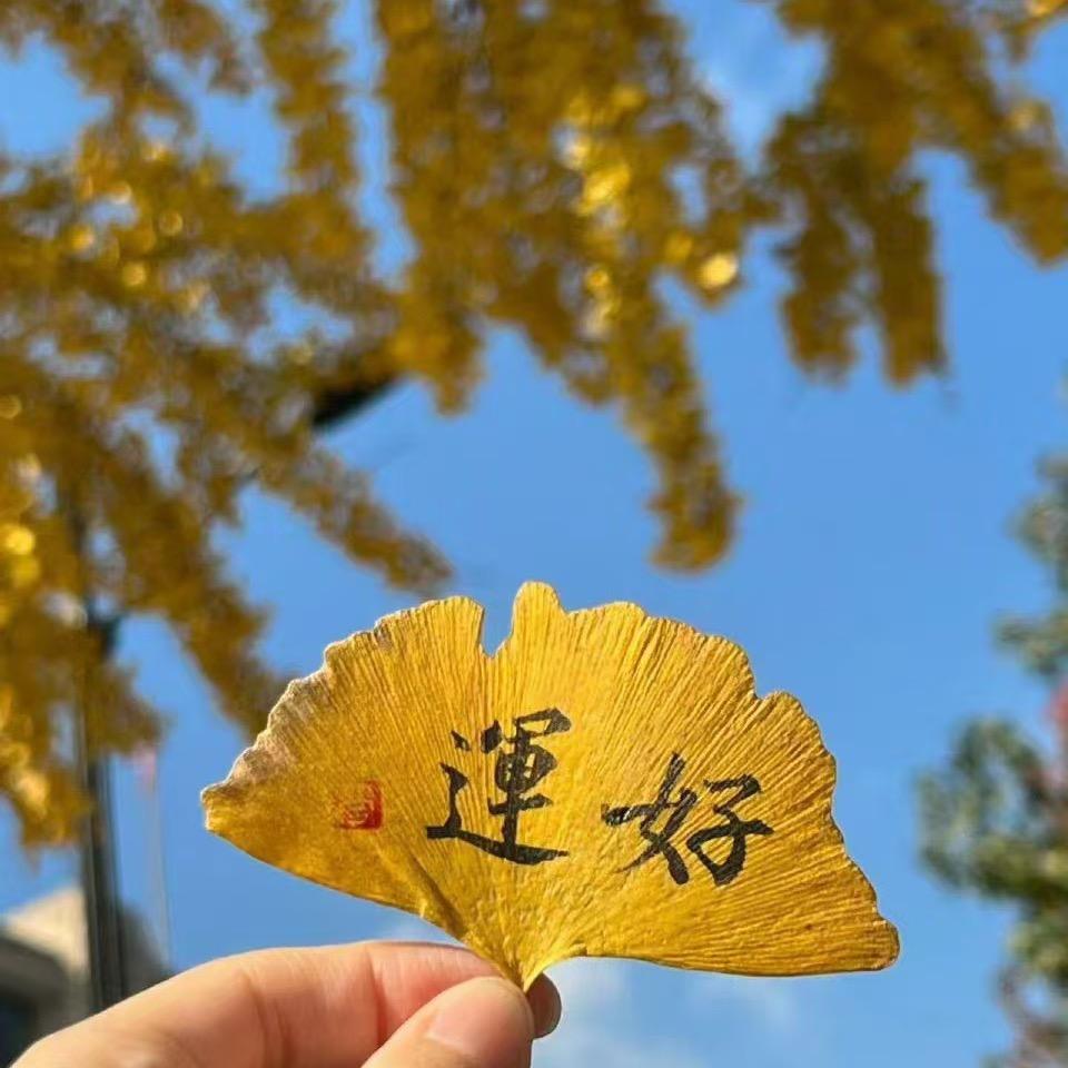 幸运三妹💗