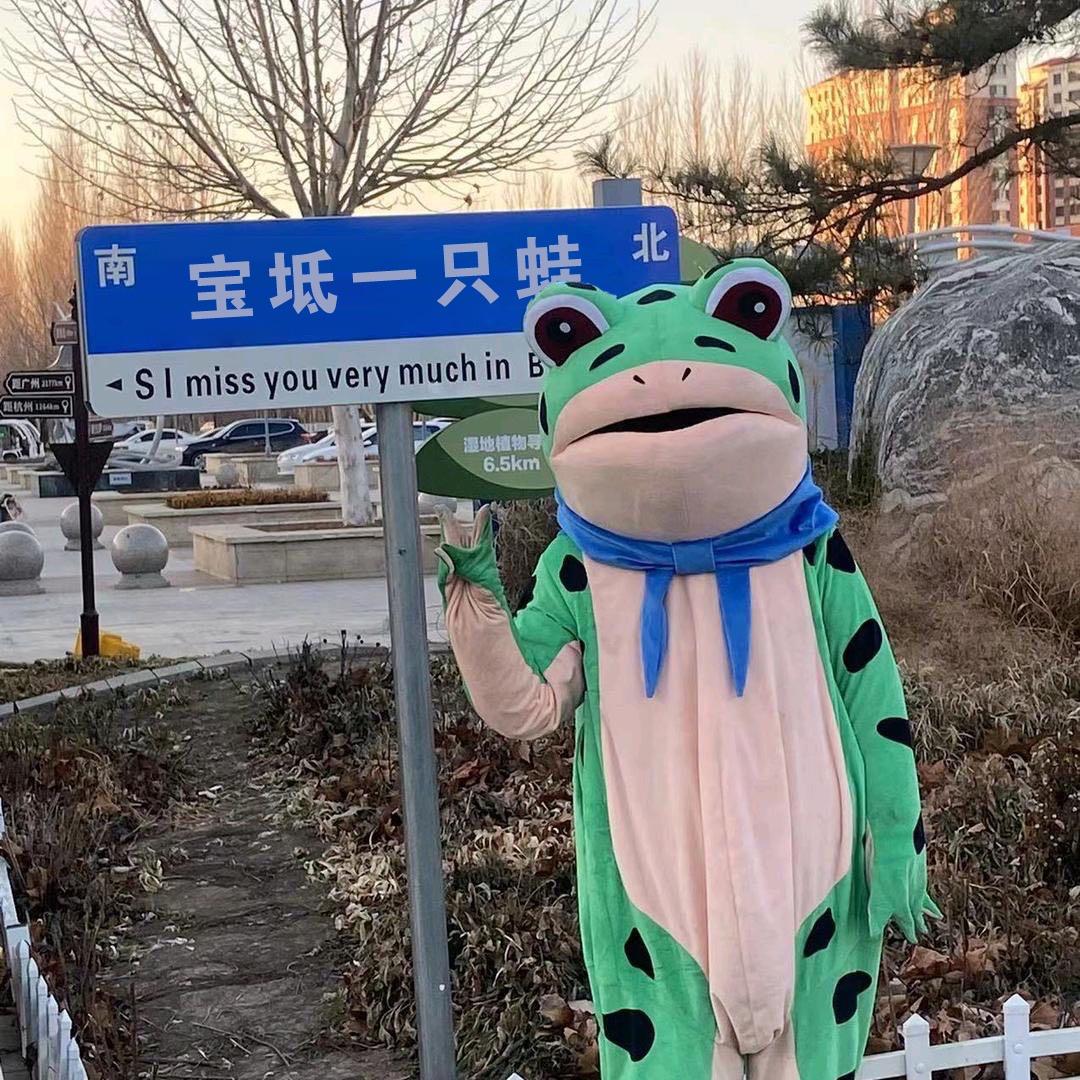 宝坻一只蛙🐸