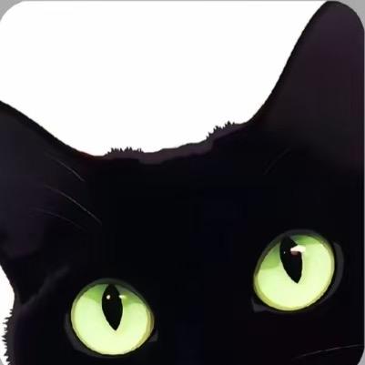 CHDUYPP户外鞋服旗舰店