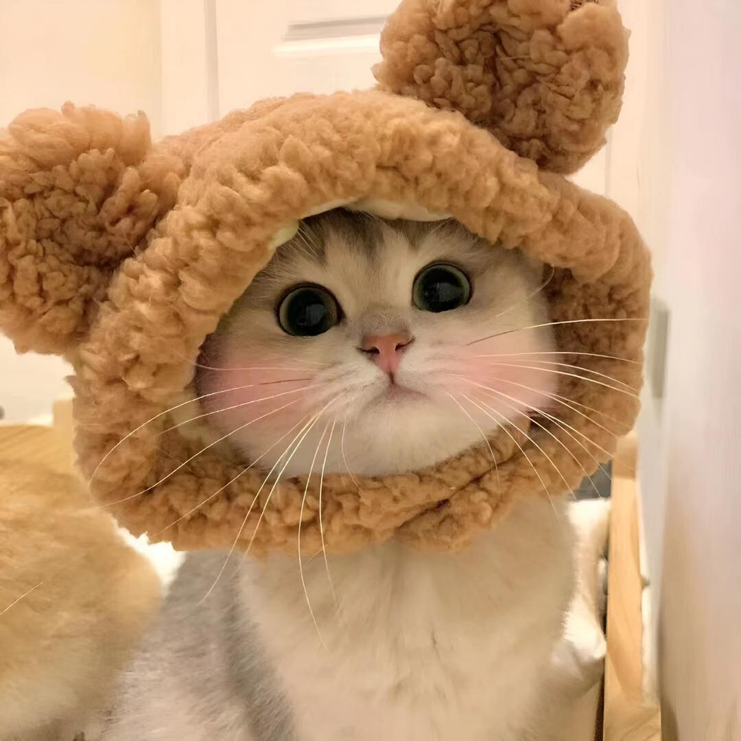 ¹杯冰⁸⁵半糖～