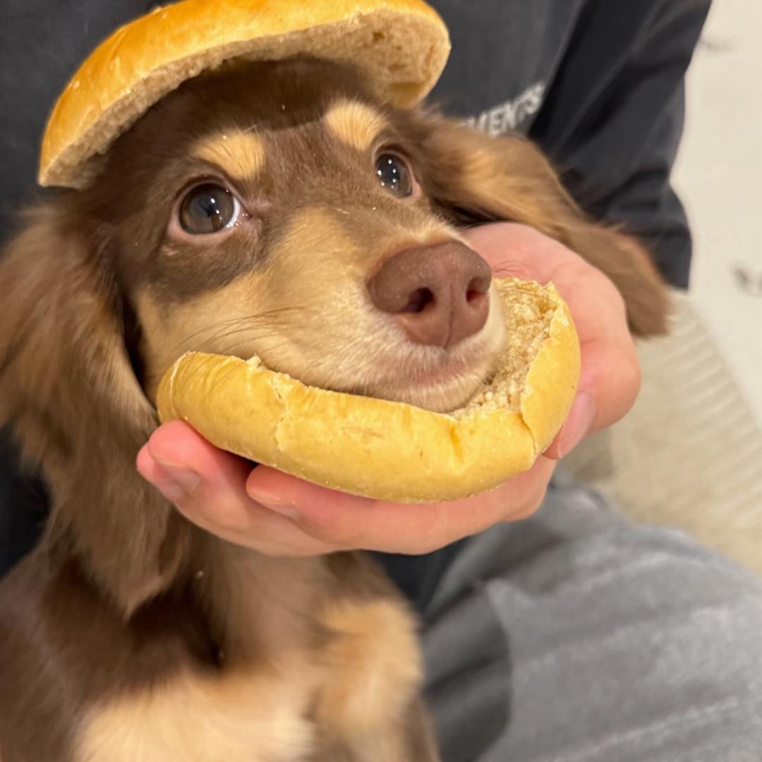 丸子