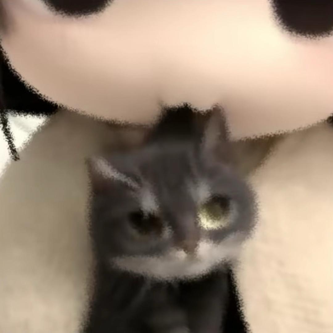 😺