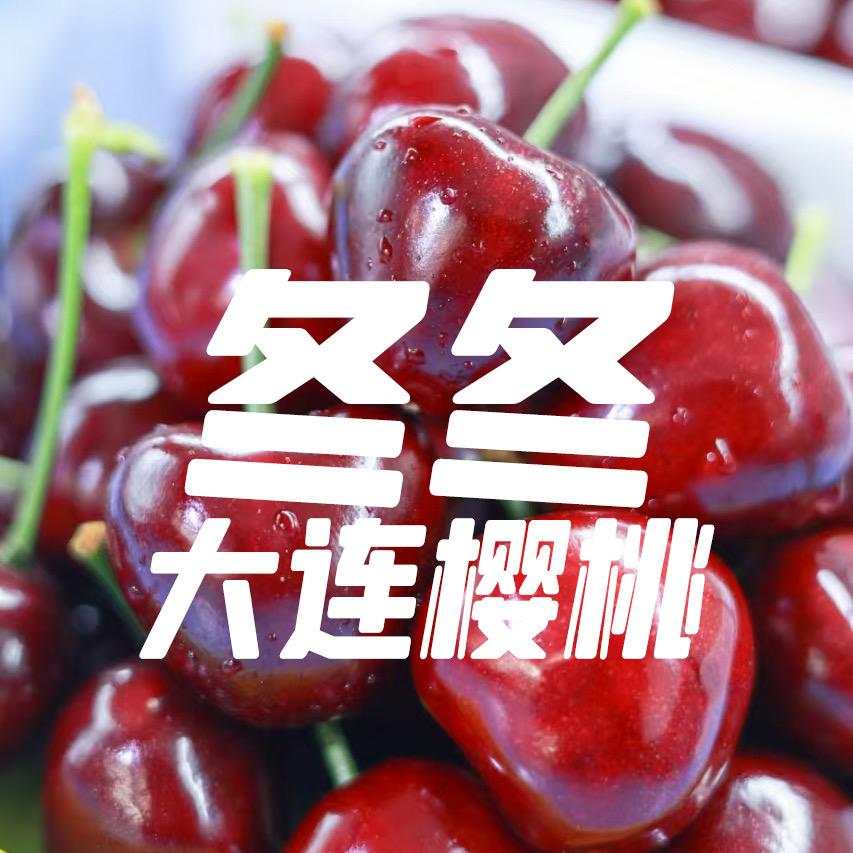 冬冬大连樱桃严选
