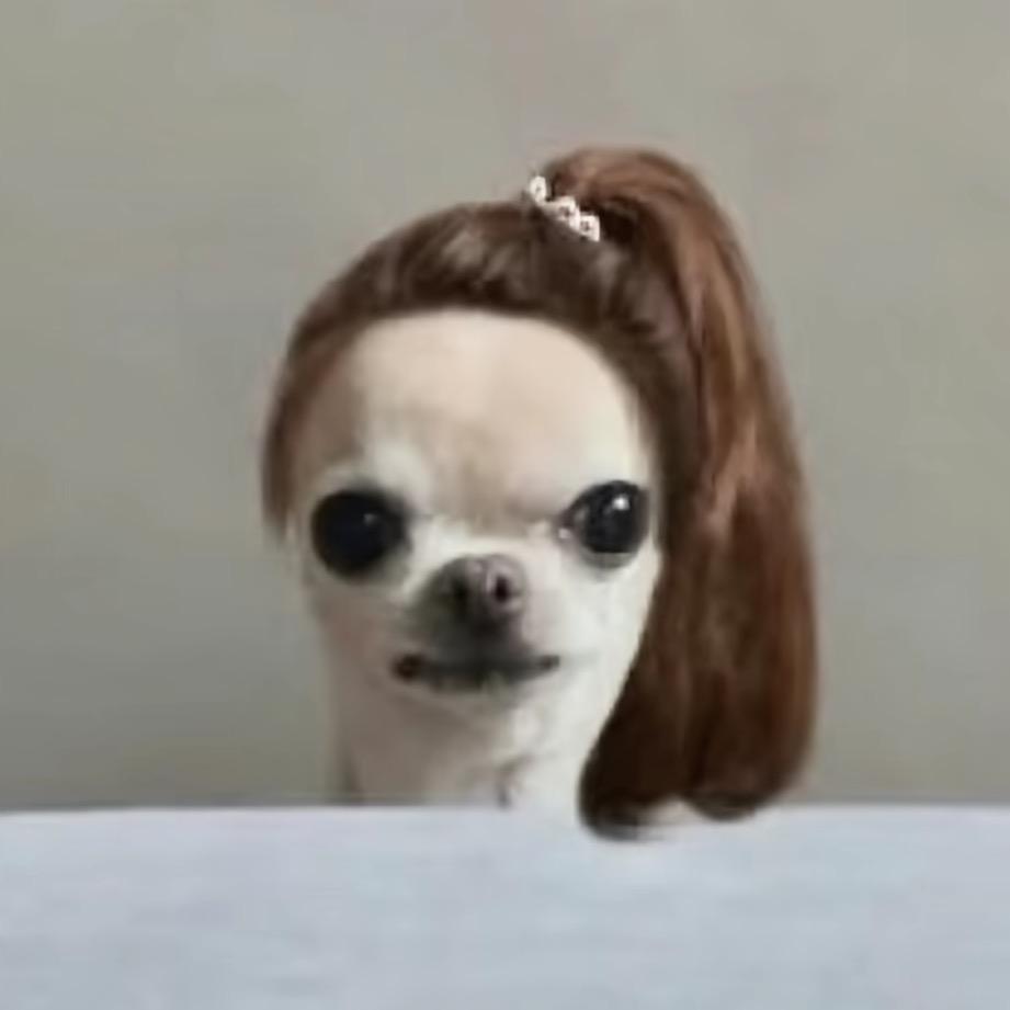 等爱的玫瑰🌹