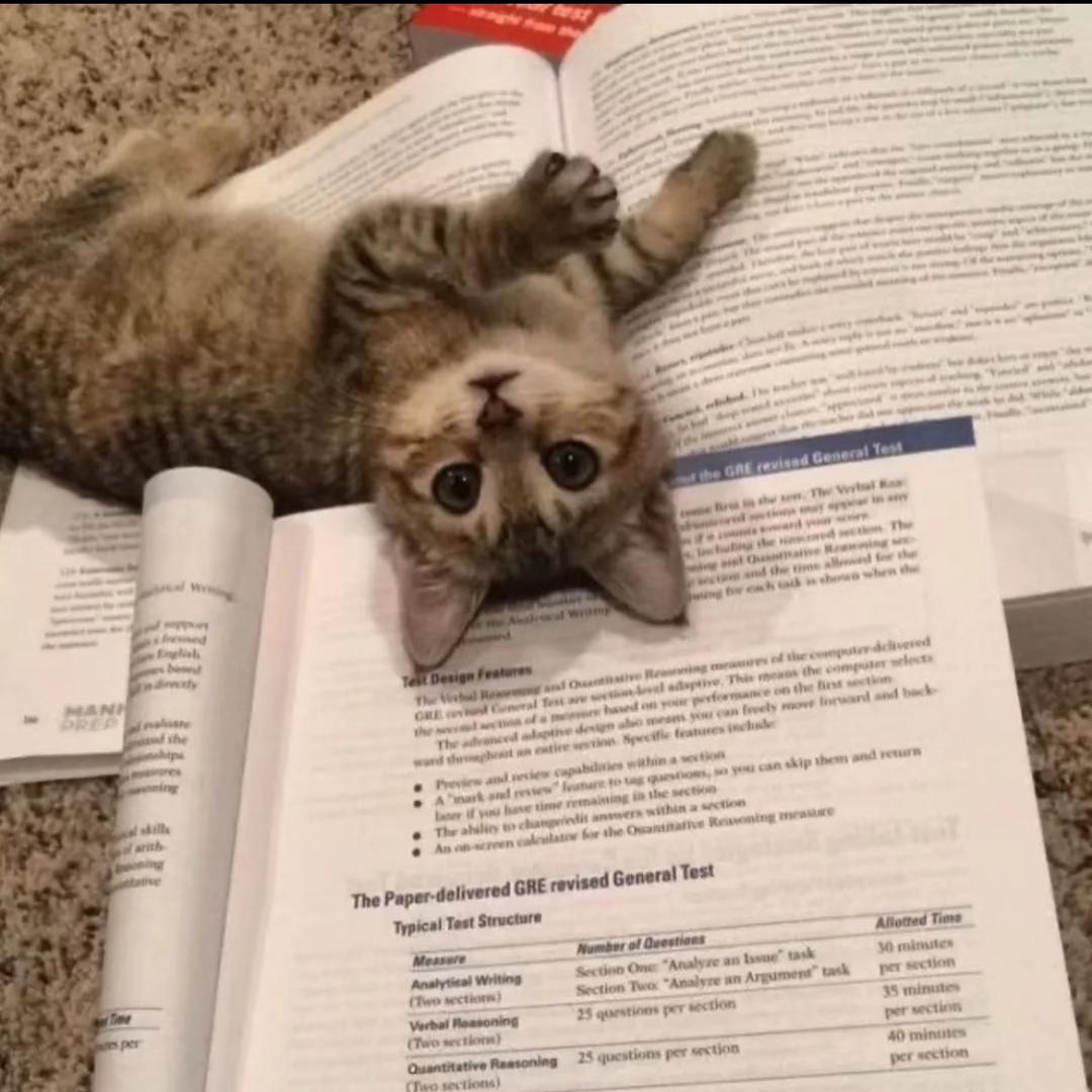 826 ￴ ￴ㅤㅤㅤ