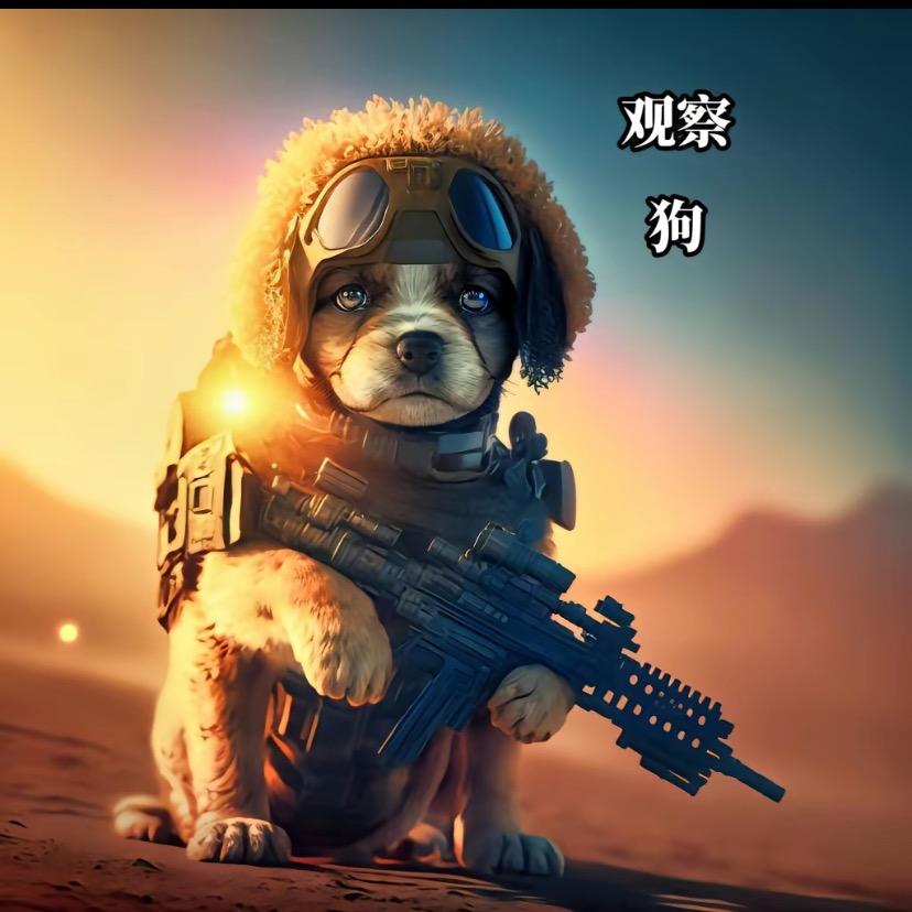 扬帆起航