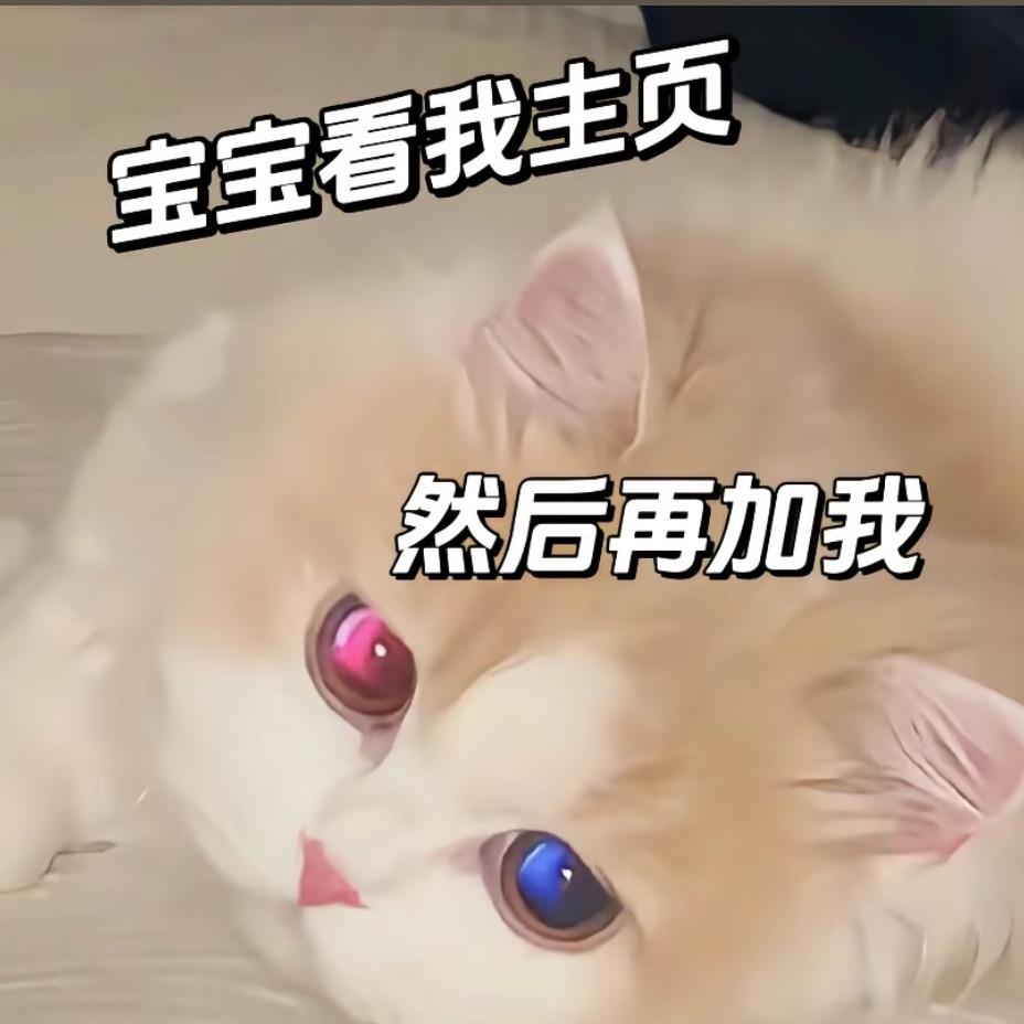 福体（惊天一注）