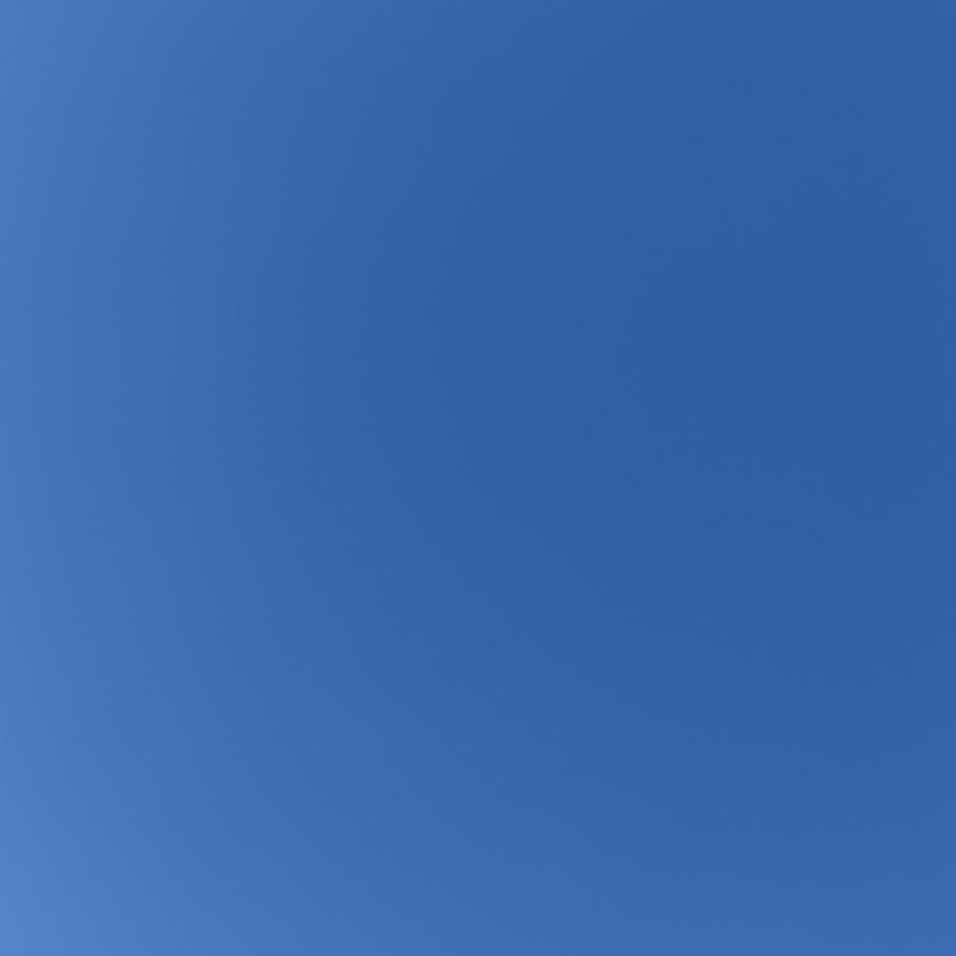 若 即 若 离