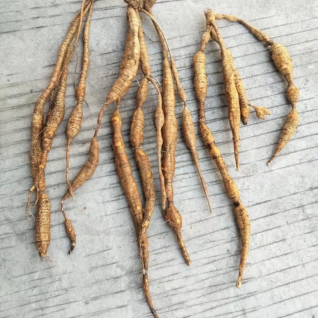 用户大力土特产