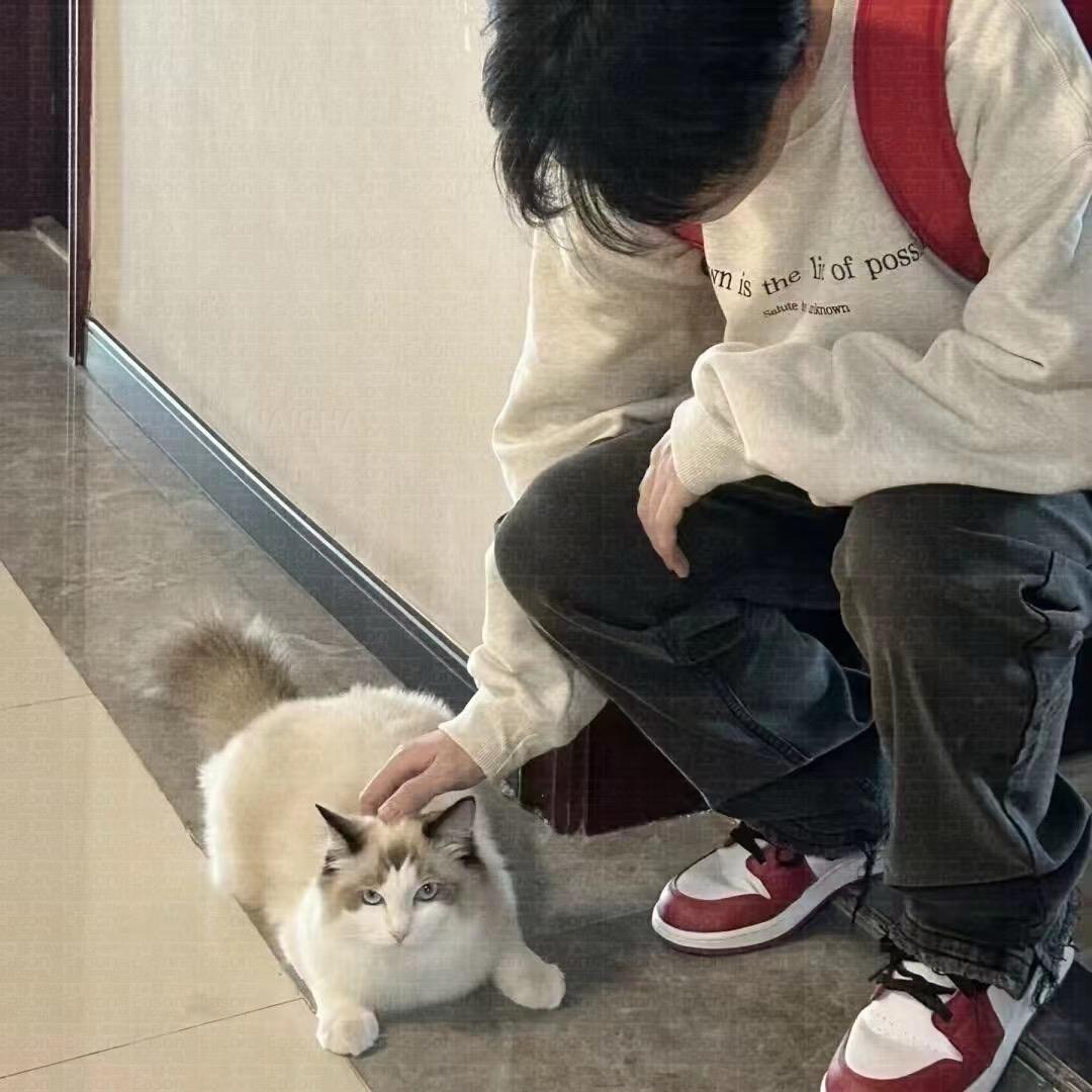 妄