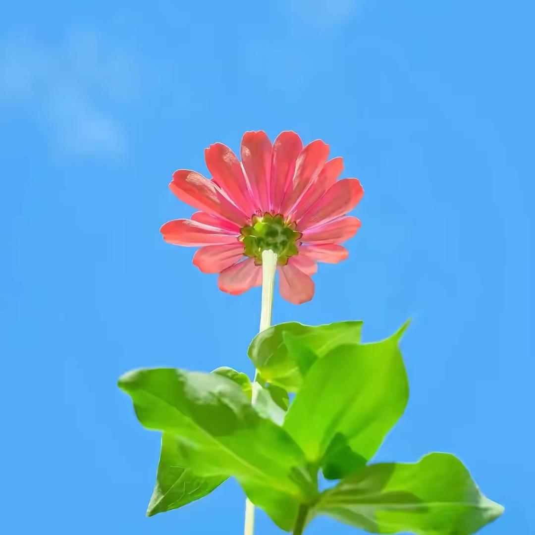 林悦正能量