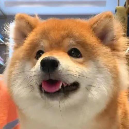 王者晚安手游