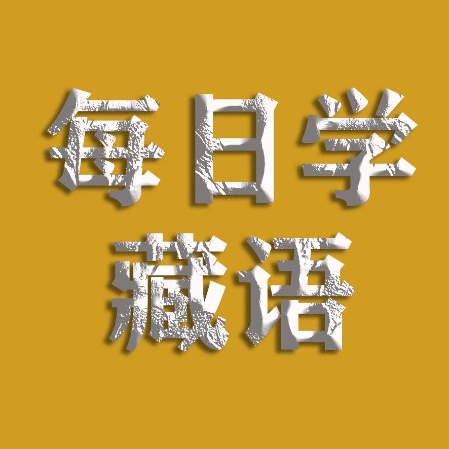 每日学藏语小号