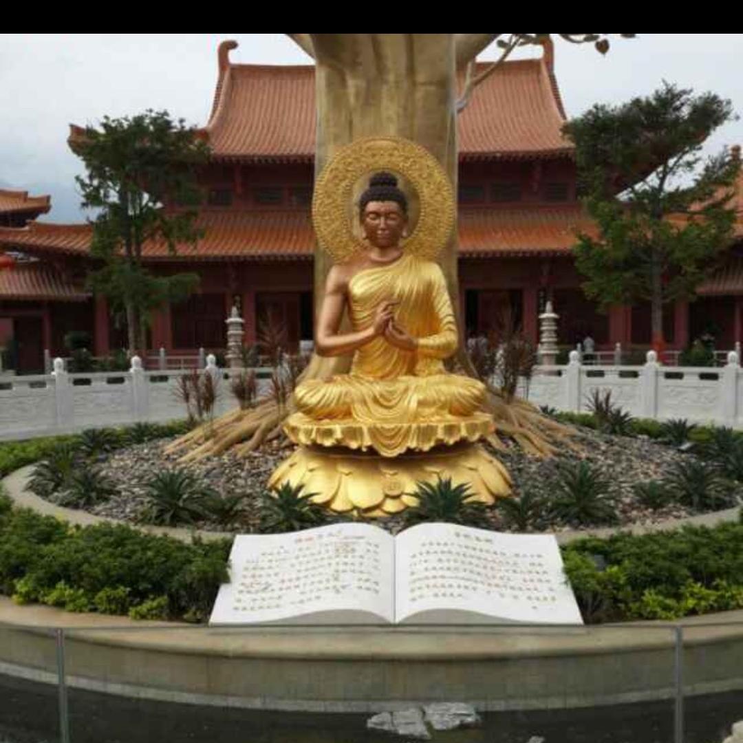 湖🇨🇳钓鱼青年