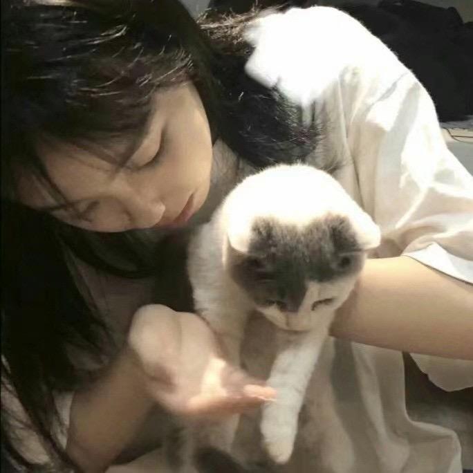 qq