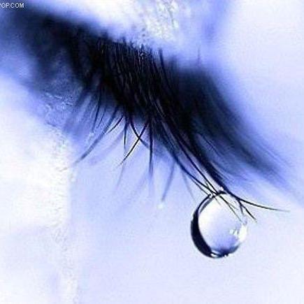 🔔心若菩提🔔