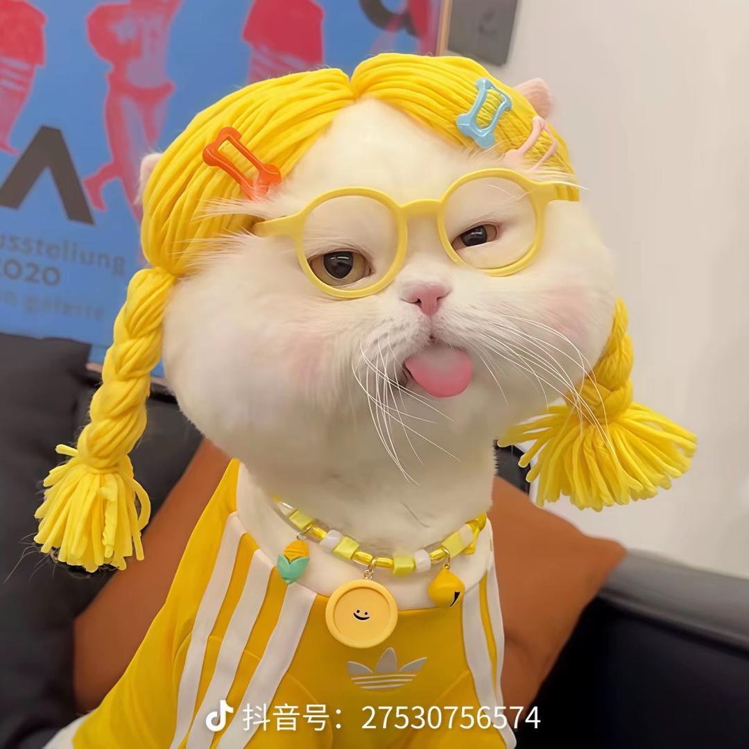混的潼🕊️