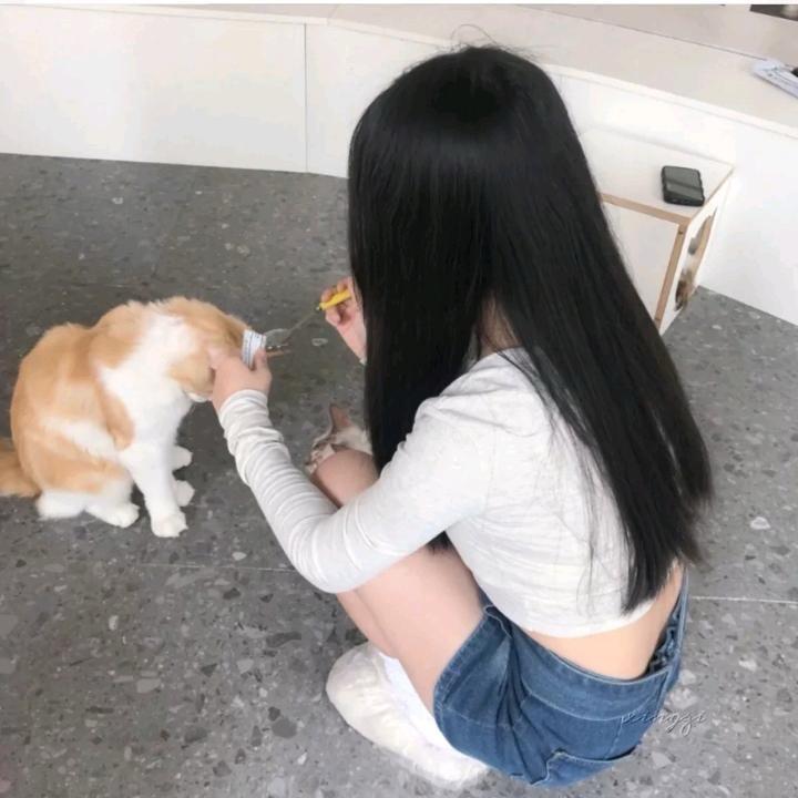 一只猫.