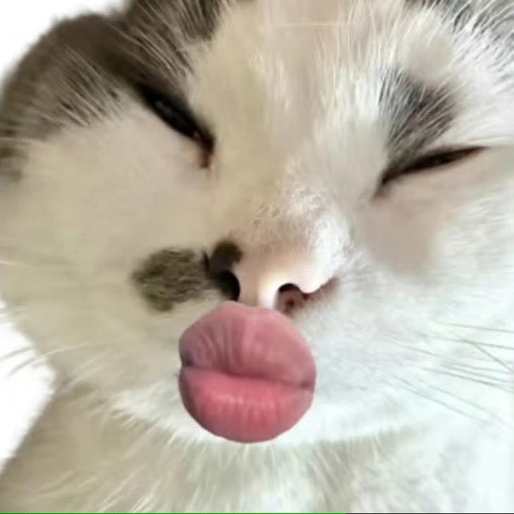 天才的口口手作