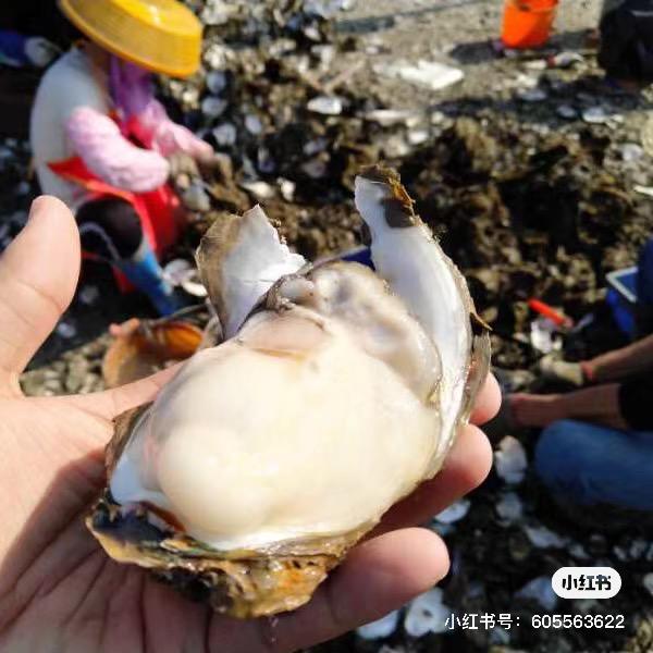 鲜行天下