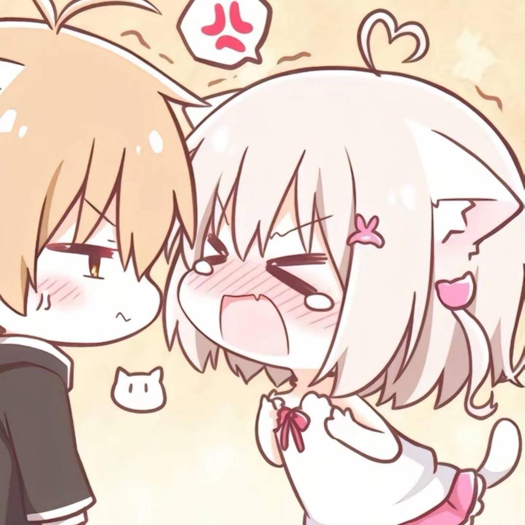 小猫体质