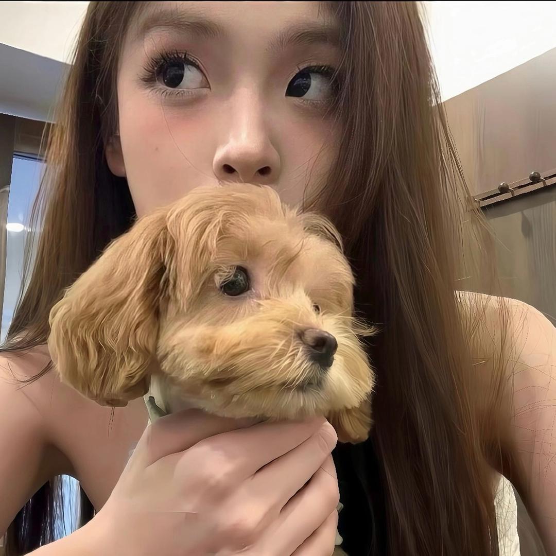 鱿鱼丝填腹