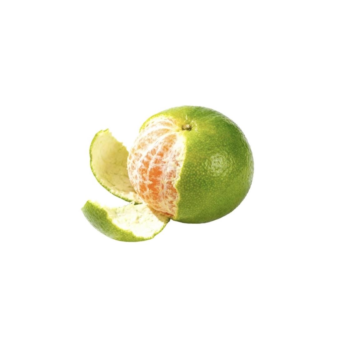 假的啦