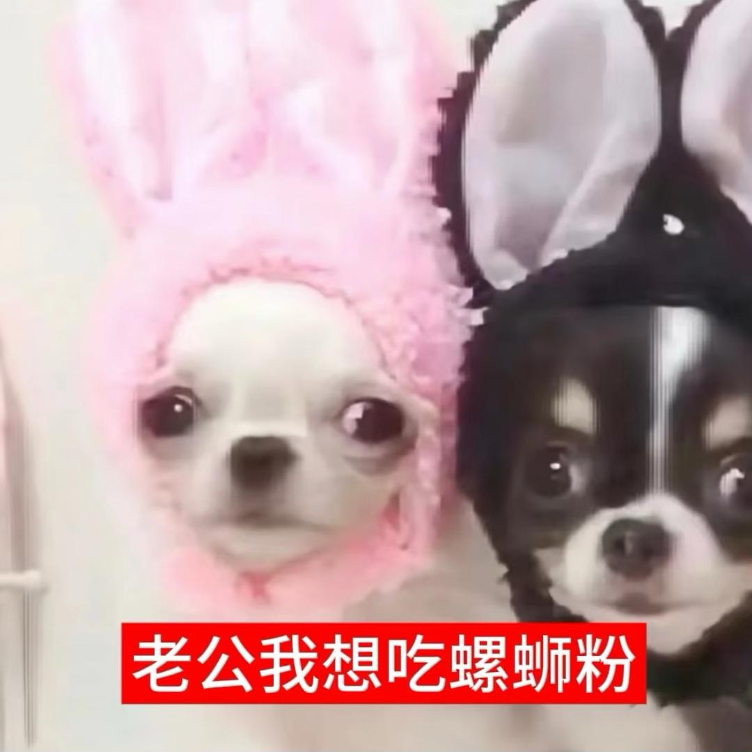 悲伤小酥鱼^