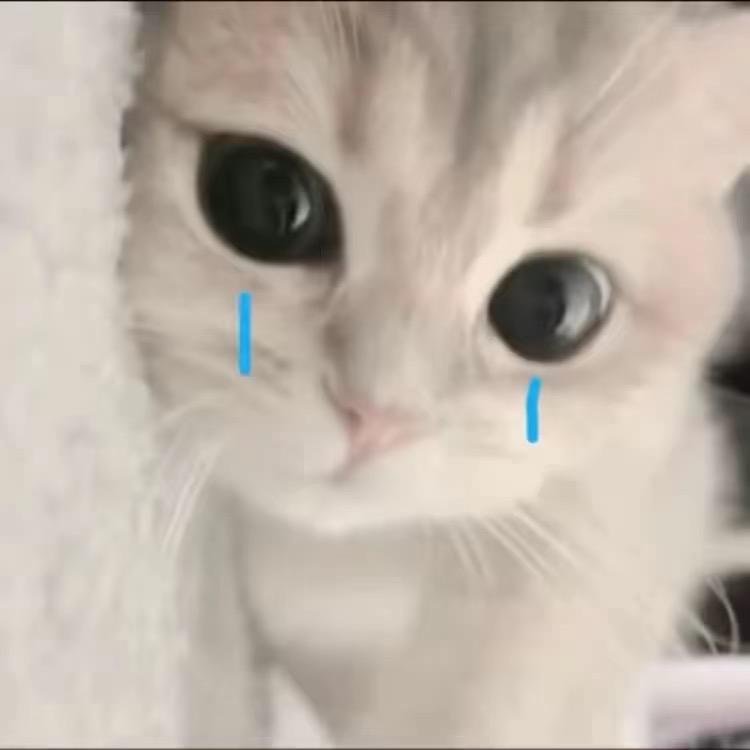 L_Zh