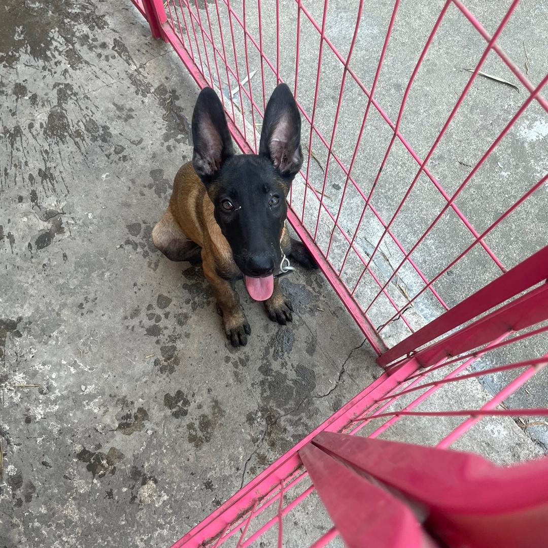 四川广元苍溪龙王人在常州