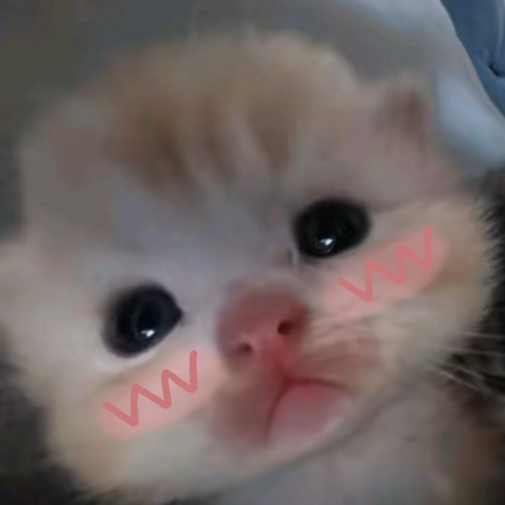 香香的小臭咪