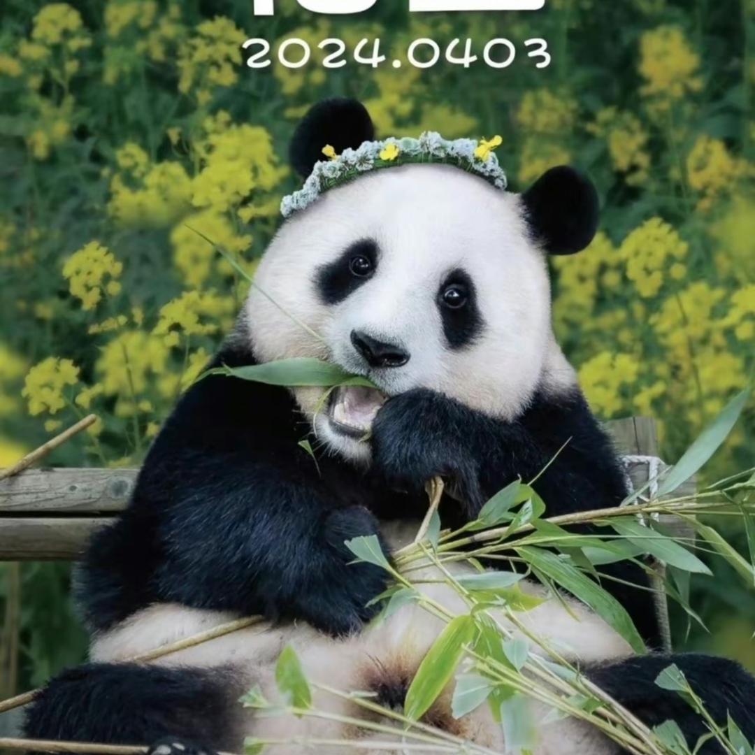 清风渡