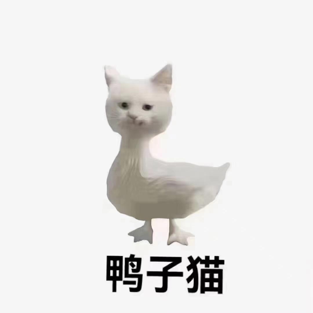 王皮皮他爹