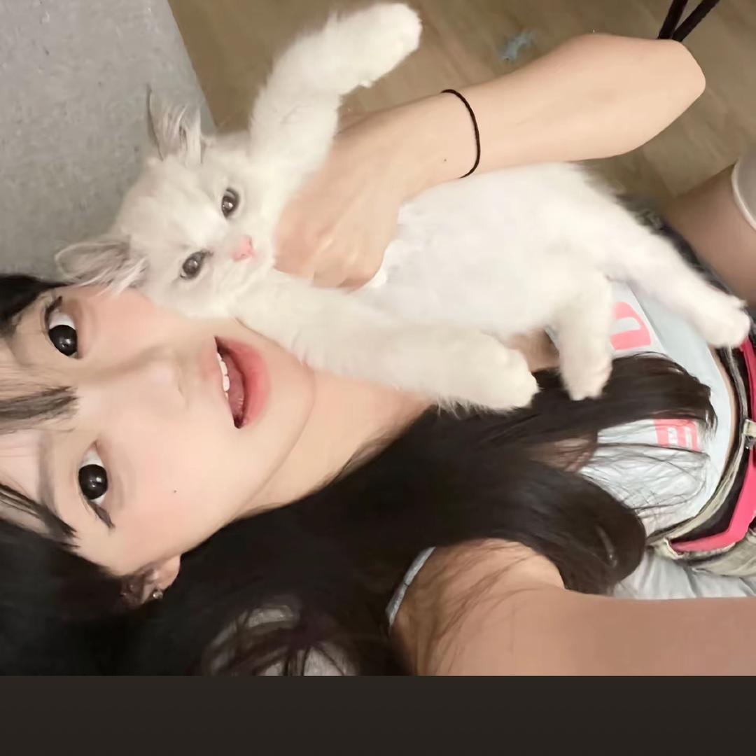 .🎀