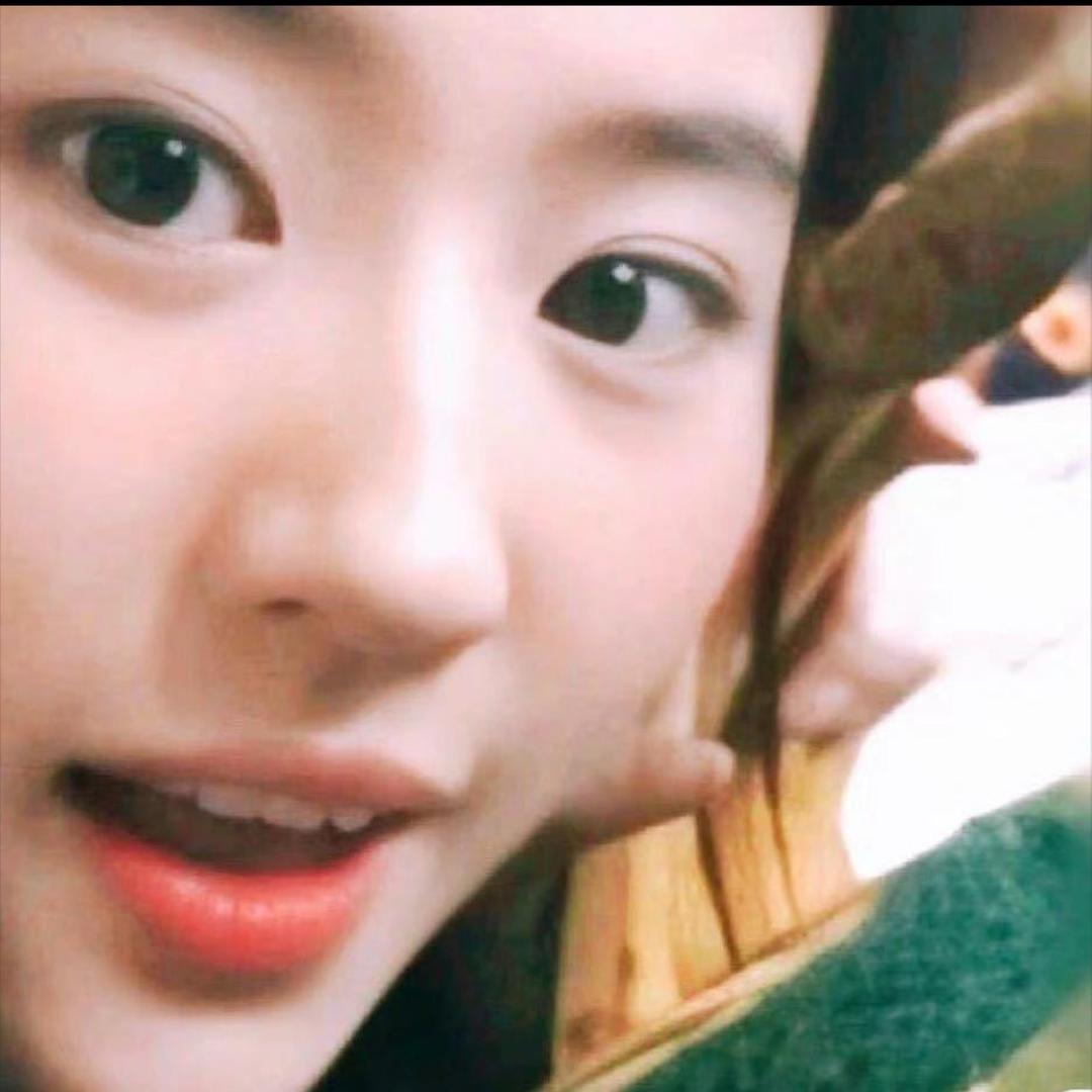 知鹿为木马🌈