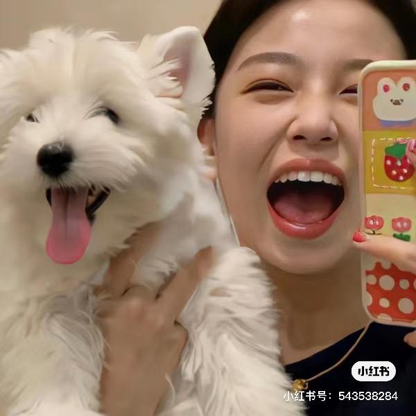 全脂牛马(教师版)