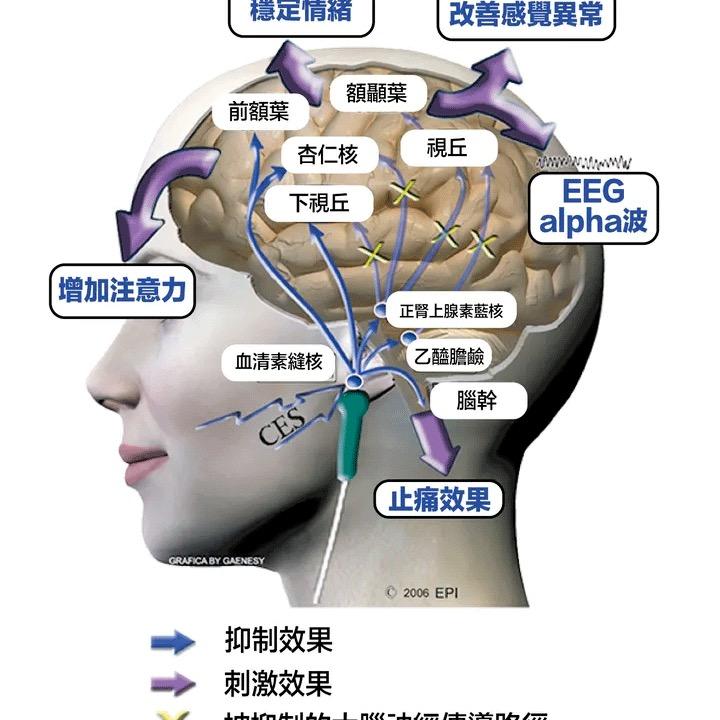 乐扬智脑科技馆