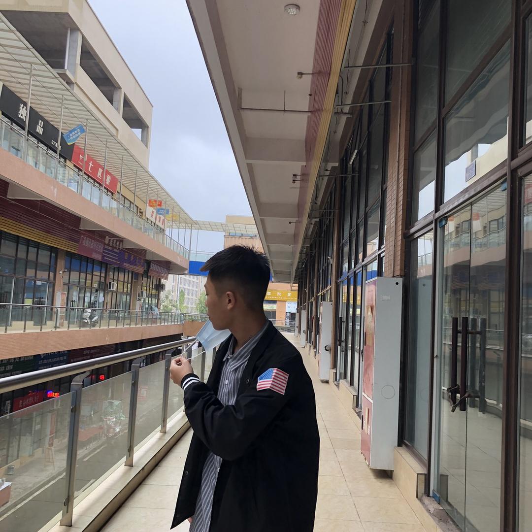 山鸡.
