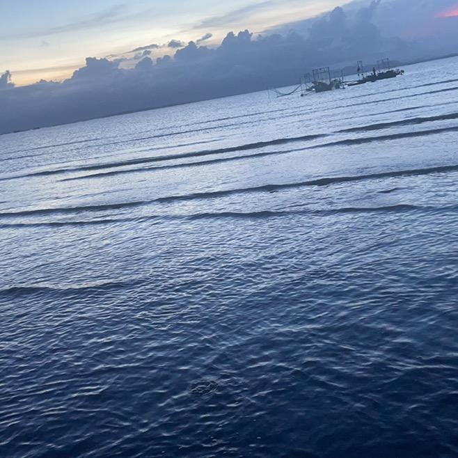 阳春仔不爱阳春面^_^