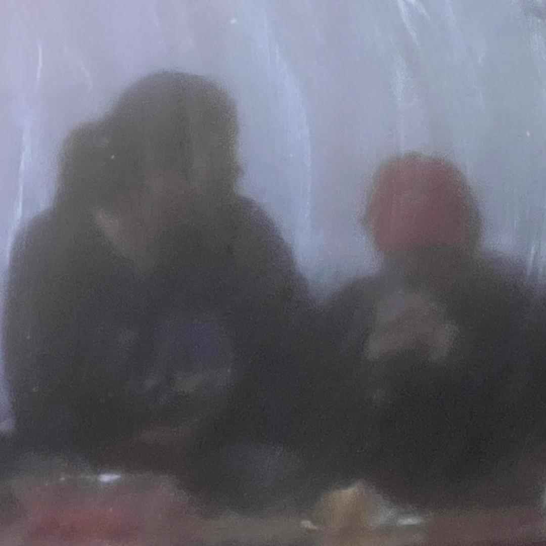 开到荼靡