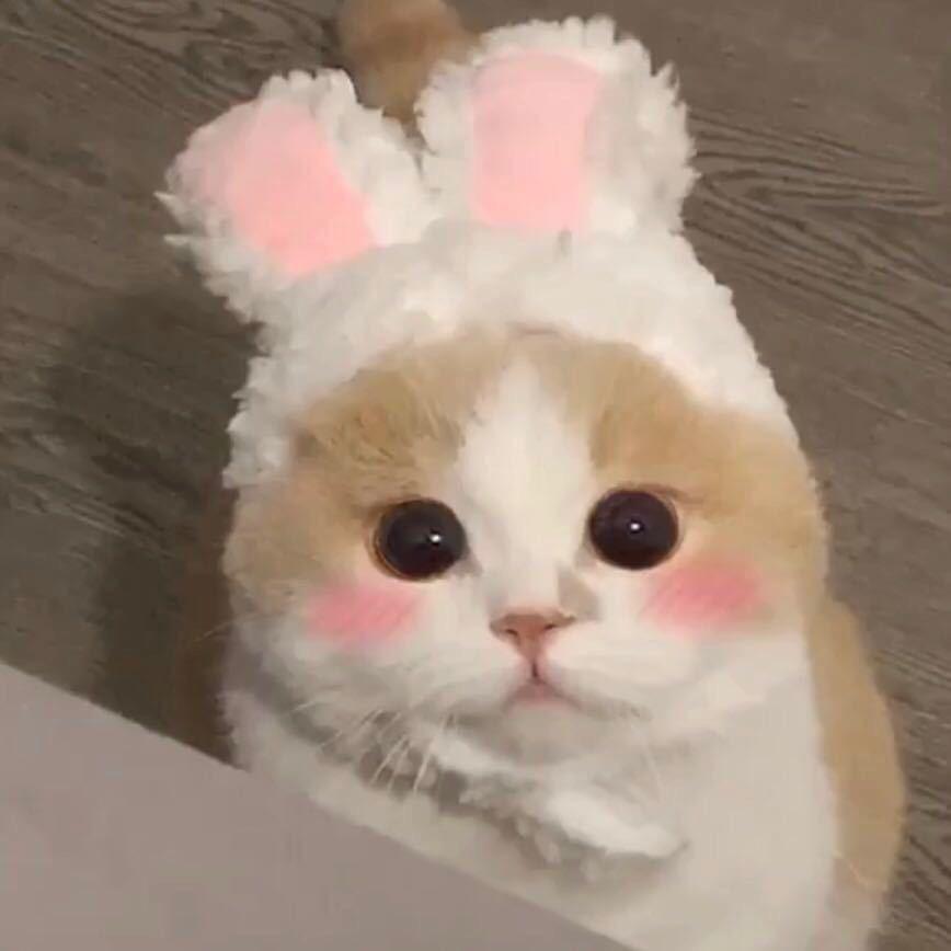琳嘟嘟