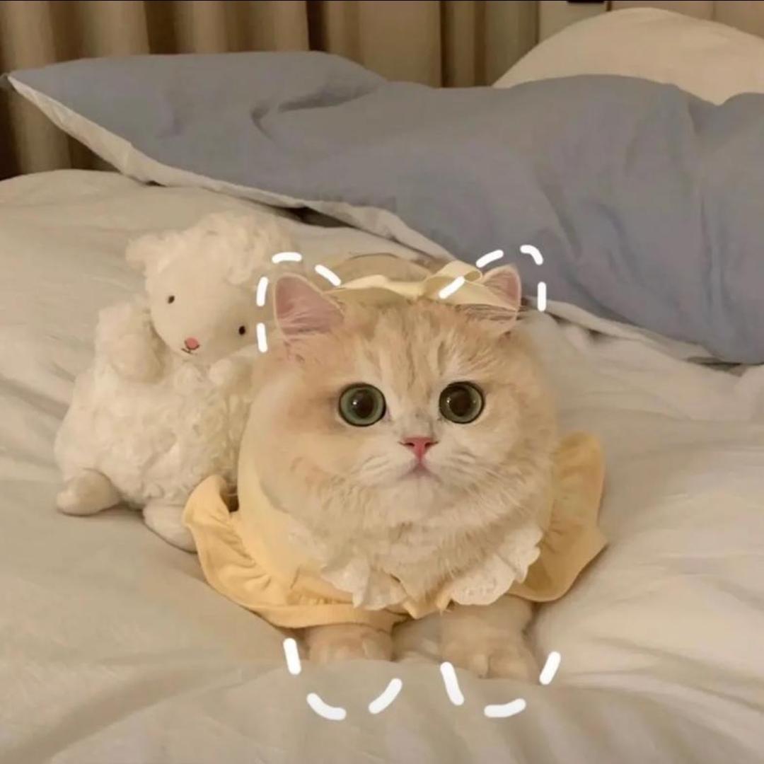 算意呀百货零售店