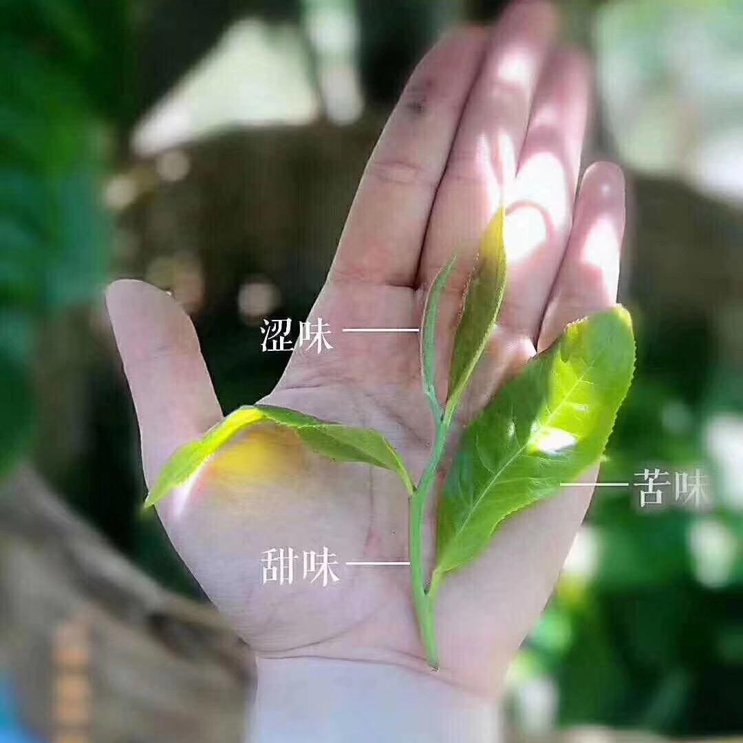 小创