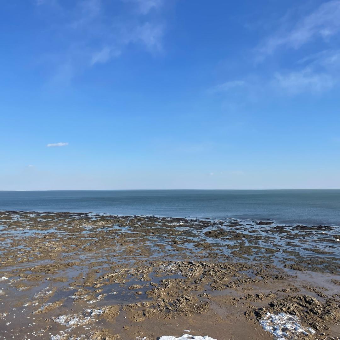 杨老师划分选科