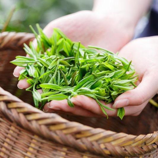 清影茶业