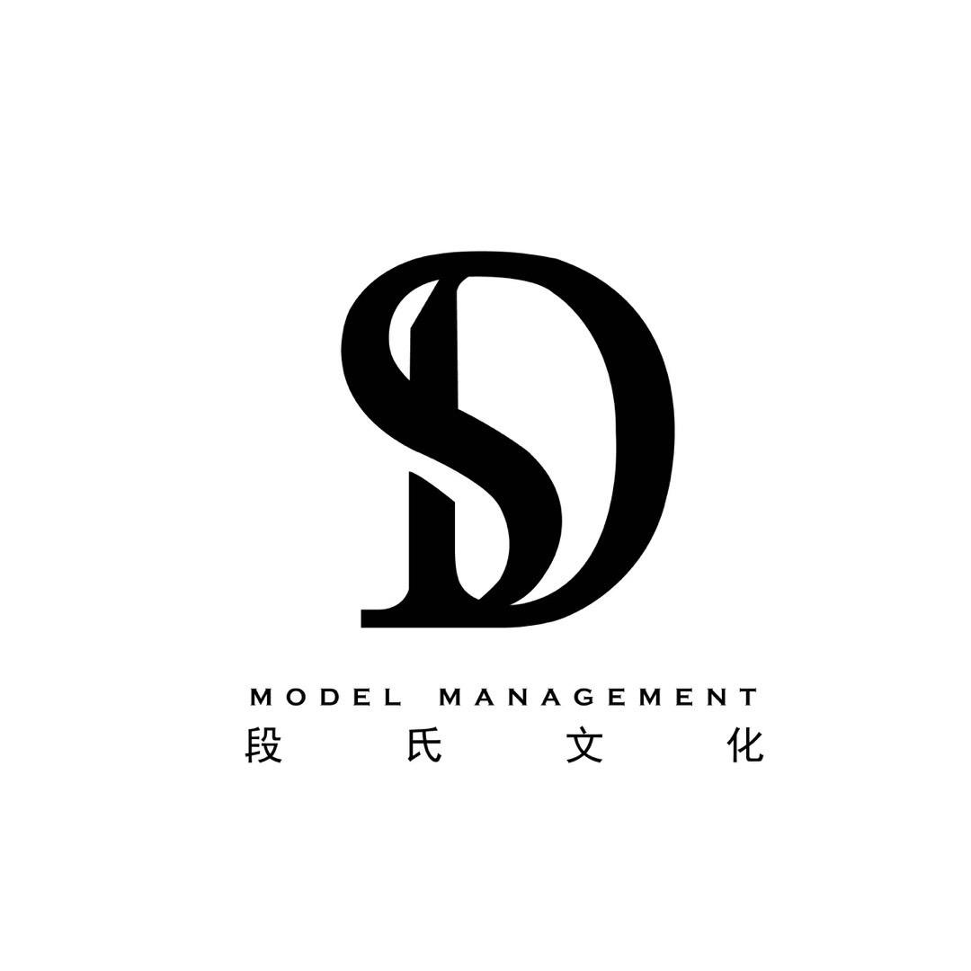 武汉DS Model培训