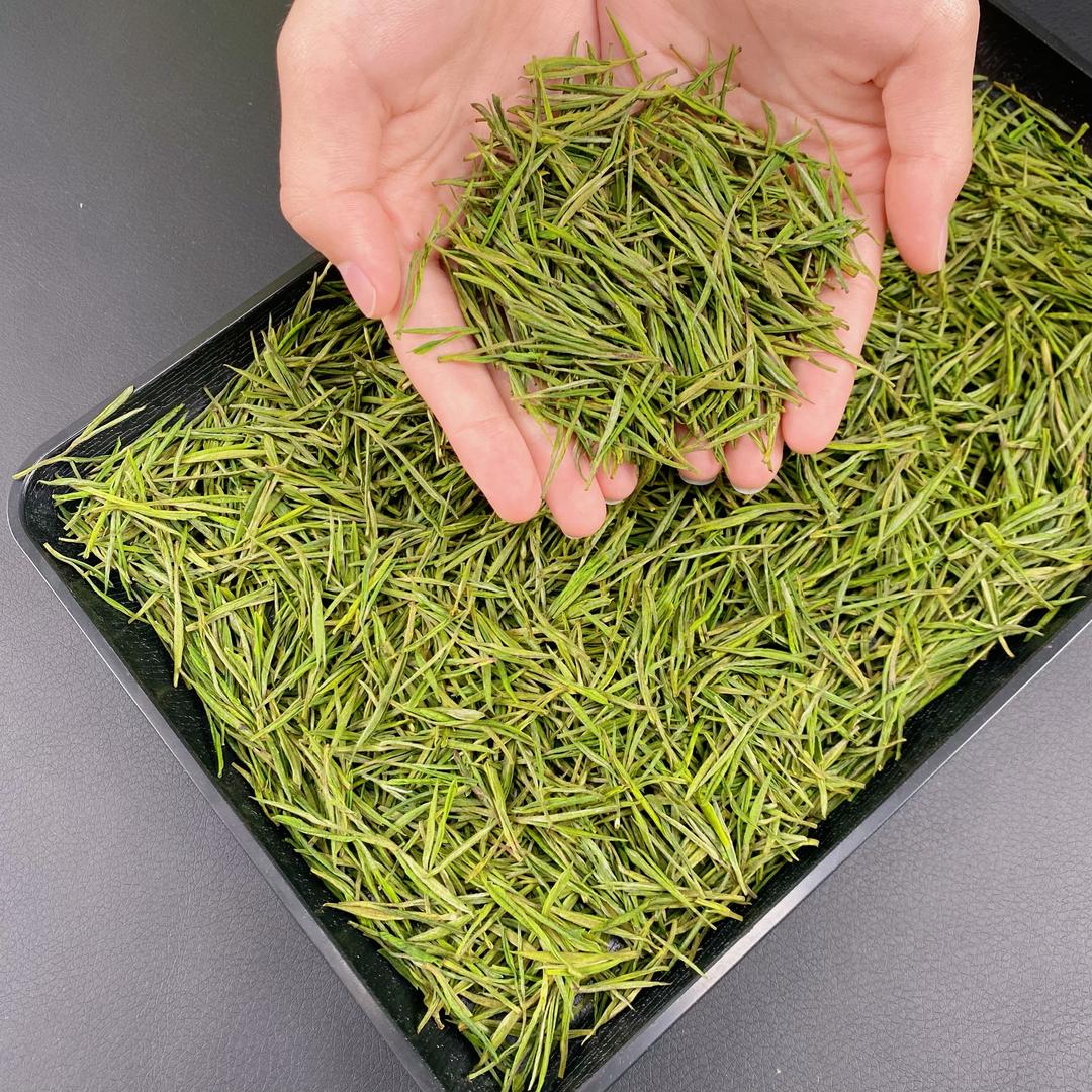 安吉清竹茶场