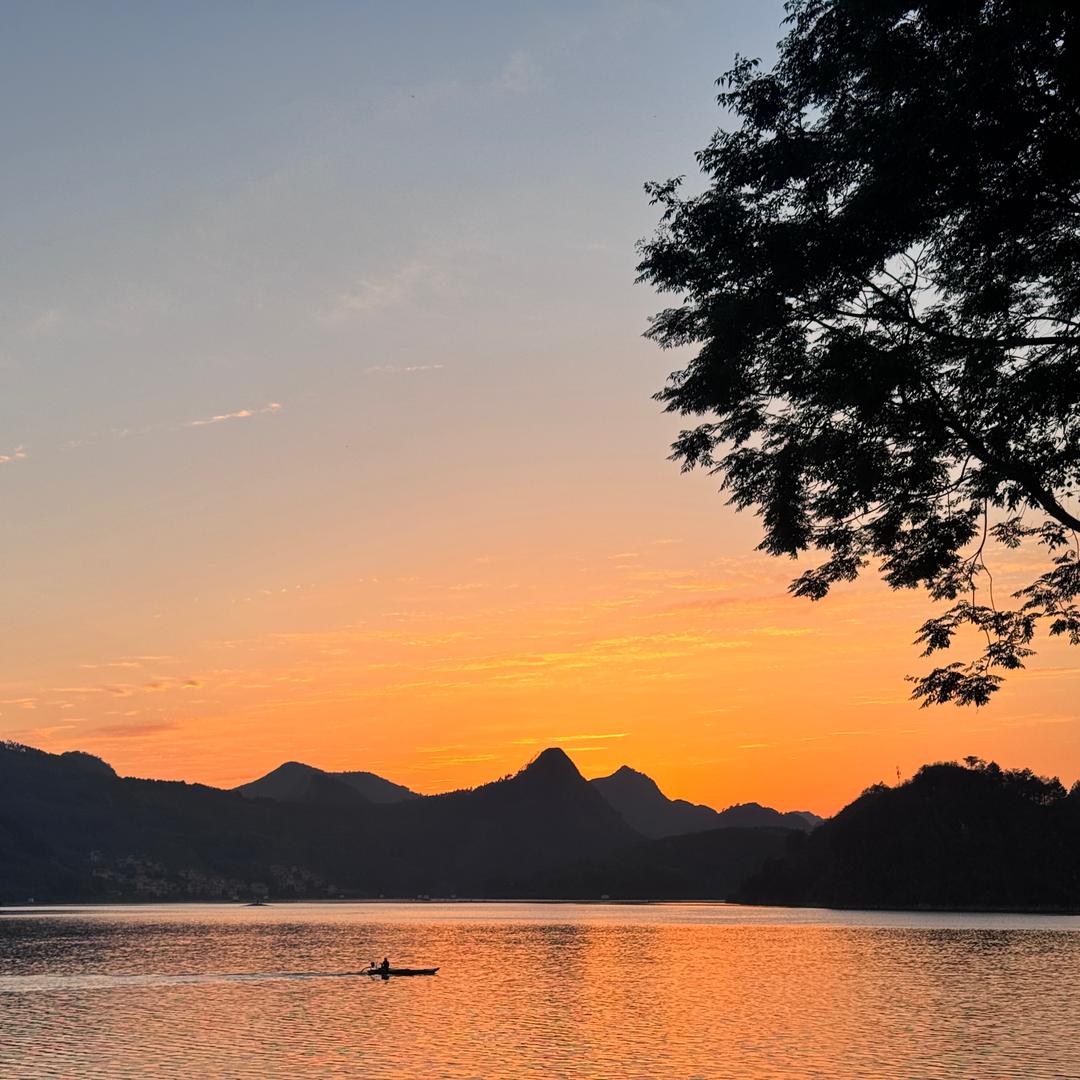 车厘子爱火龙果