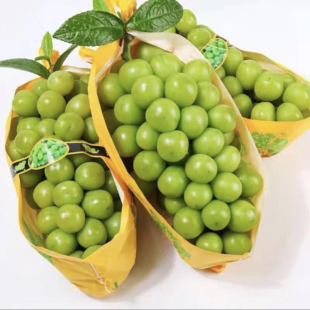 乐湃鲜生（应季水果）